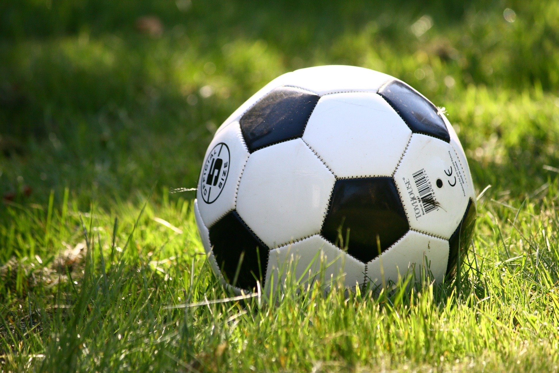 Fall Soccer Canceled Due to Safety Concerns